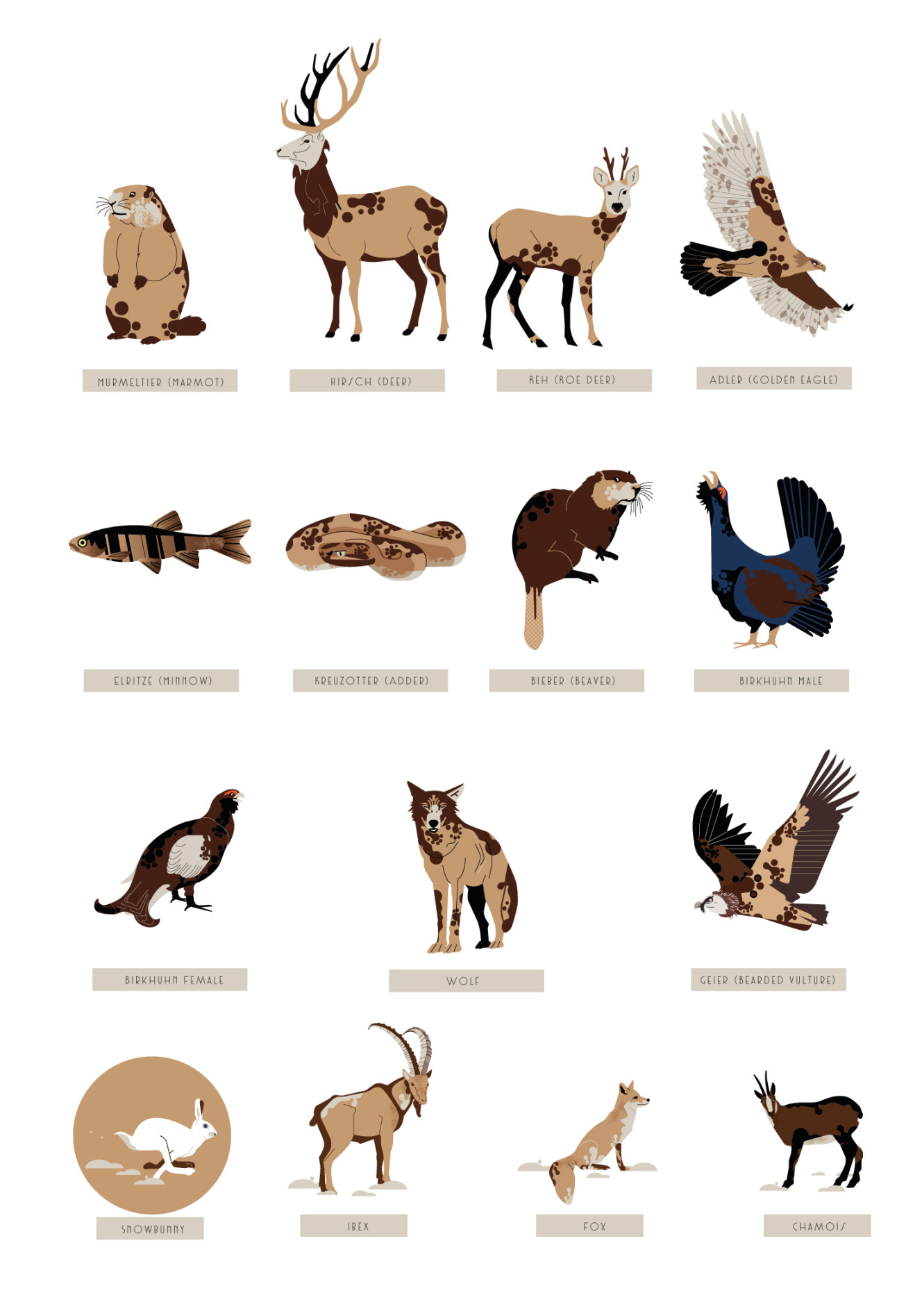 illustration animaux, faune sauvage, marmotte, loup, vautour, renard, illustration de faune